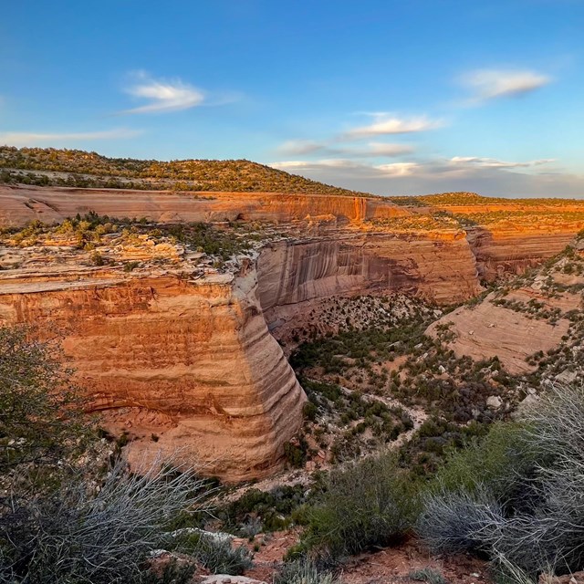 winding red orange sandstone canyons