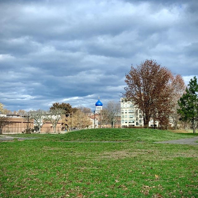 An open grassy space in a park with a city in the background. 