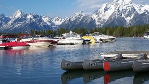 canoes docked at a marina
