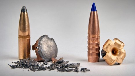 A comparison of lead and non-lead bullets.