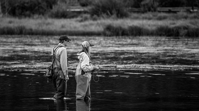 people standing in an alpine lake and fish