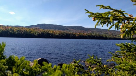 pond surrounded by tree-covered hills