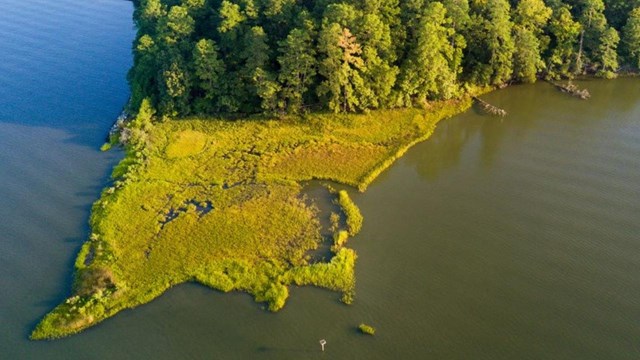 Chesapeake Bay