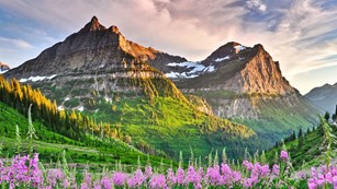 Projects in Progress - Connected Conservation (U.S. National Park Service)