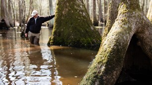 man leans against tree in a swamp