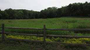 grassy field with fence in the foreground