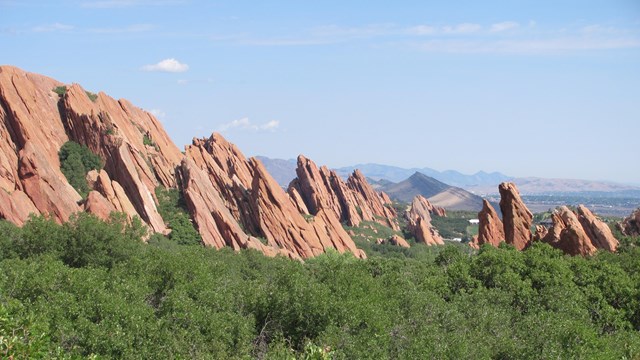 large rock outcropping in grassy field