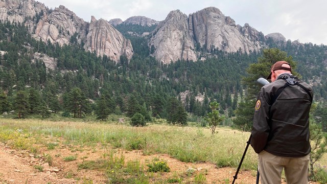 A volunteer raptor monitor using a spotting scope at Lumpy Ridge. 