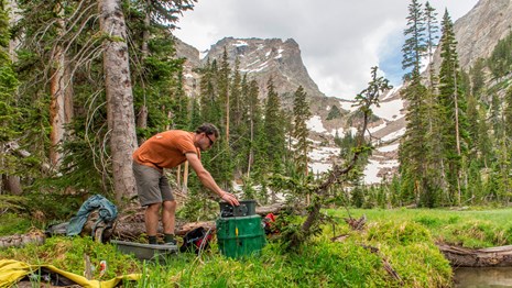 Researcher in the field with mountain background.