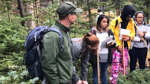 Students learn about forest monitoring from ranger in the field.