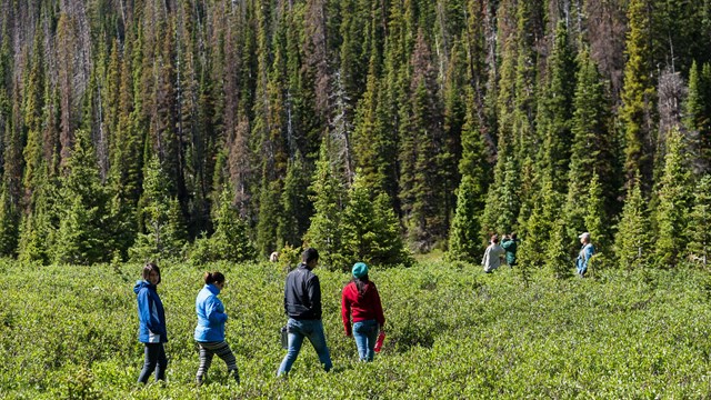 Students in the field.