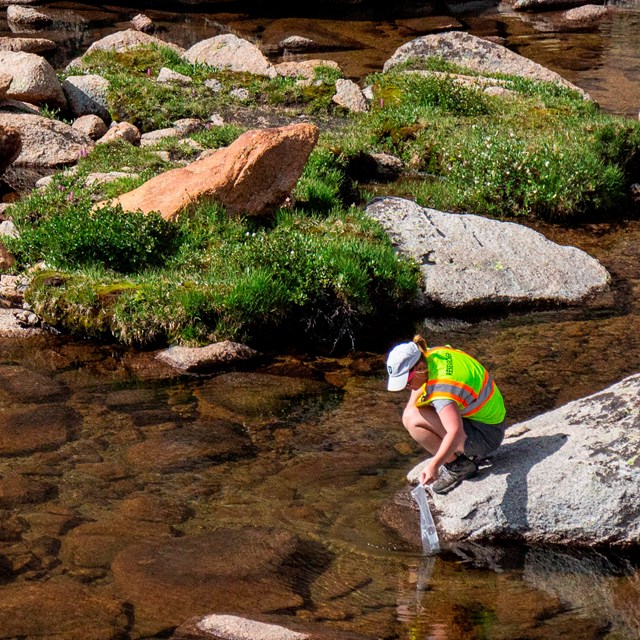 A person in a yellow Researcher vest kneels on a rock to collect water samples. 