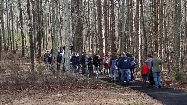 A large group of visitors walk on a paved trail through the woods