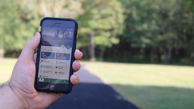 Hand holding cell phone in front of trail. 