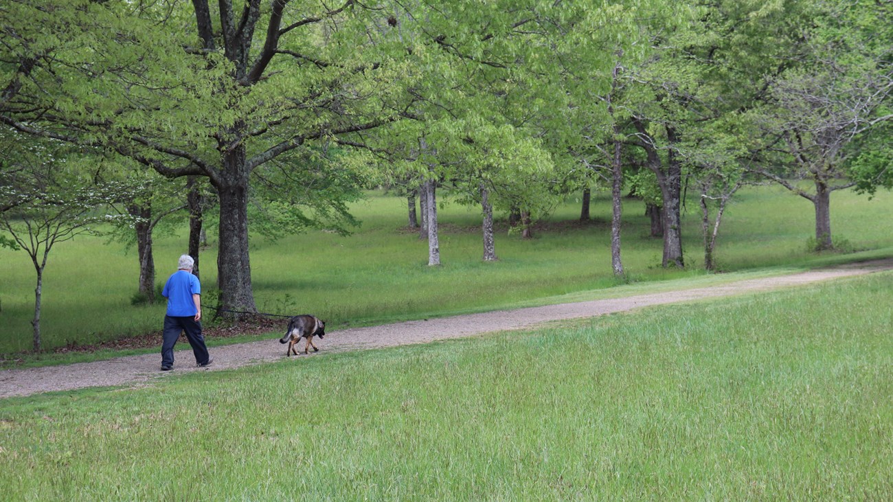 Visitor walks dog down dirt road. 
