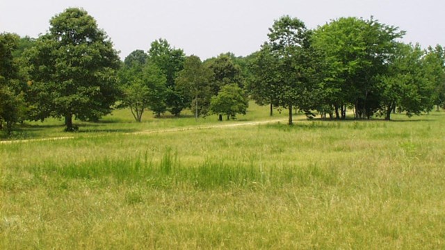 Image of Battlefield 