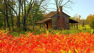 Scruggs House in autumn 