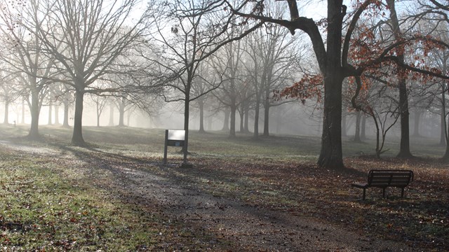 Wayside exhibit in the fog. 