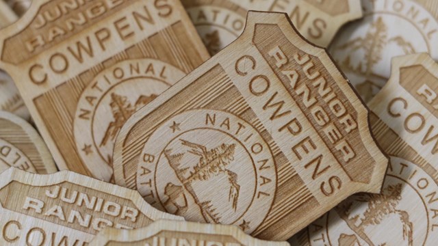 Close-up image of Junior Ranger badges. 