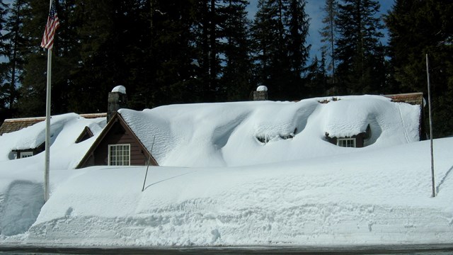 Snow covered building