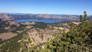 A sub-alpine view of Crater Lake National Park from Mt Scott, from white bark pines to the caldera. 