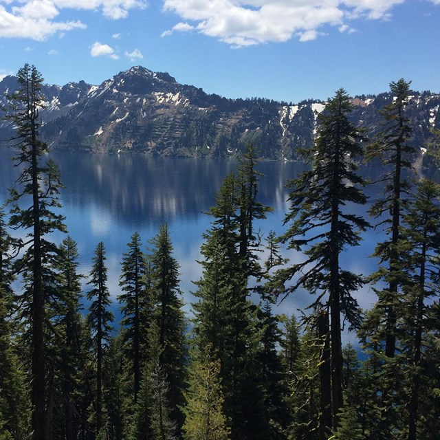 Looking through the forest canopy at Crater lake from Wizard Island 
