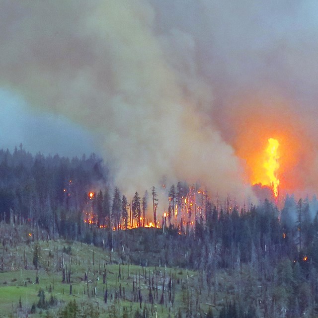 A Plume of smoke rises and flames are visible from a  wildfire