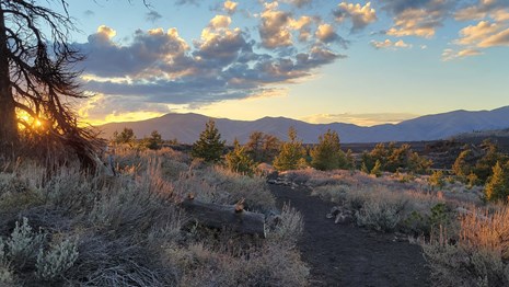 colorful sunset over a trail through sagebrush and trees with mountains