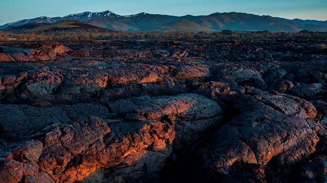 A rippling lava field.