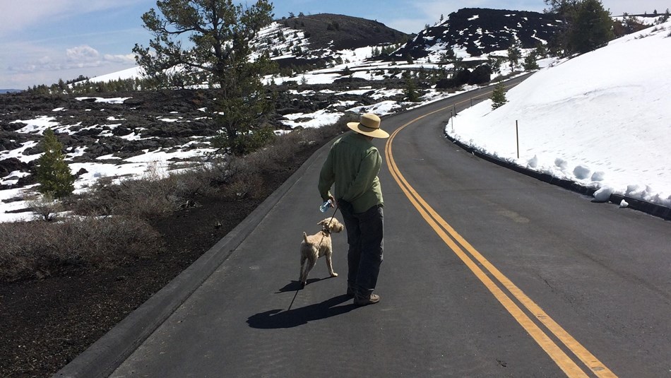 hiker on roadway