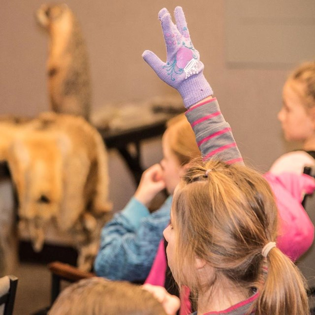 Student raising their hand