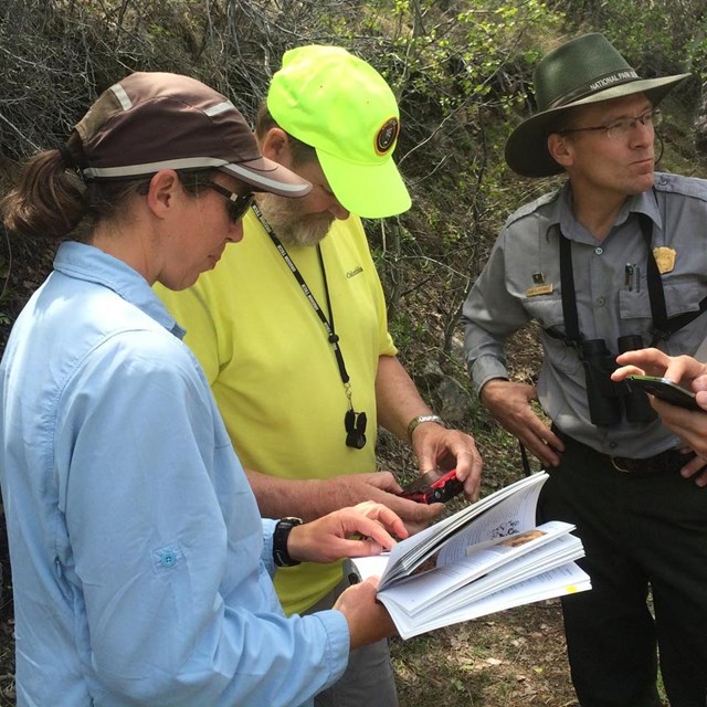 People gathered in forest looking at a book