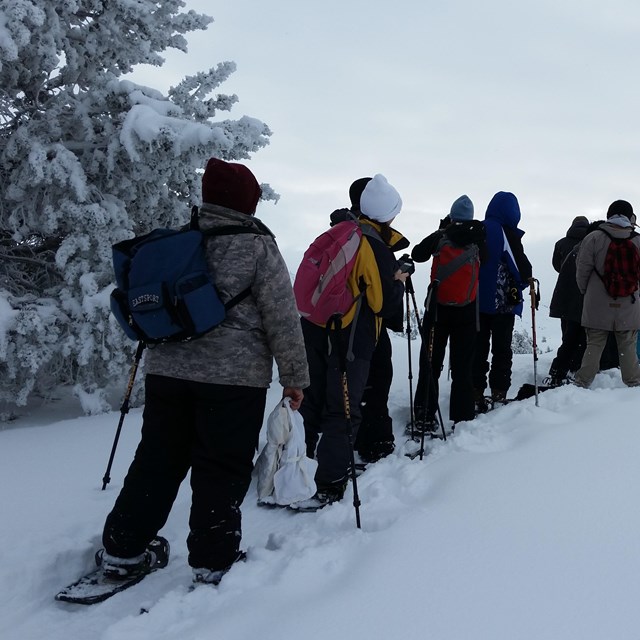 a group of children on snowshoes hiking across the snow