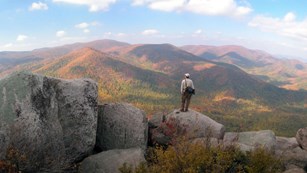 Man standing on top of a rock outcrop in a forested mountain range
