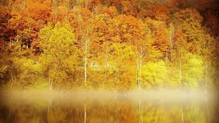 Yellow and orange hillside reflected onto lake with fog hovering over water