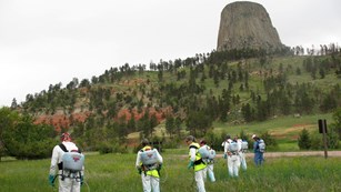 Group of field workers spraying plants with Devils Tower in the background