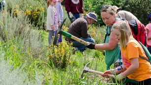 Group of Girl Scouts working on a vegetation project