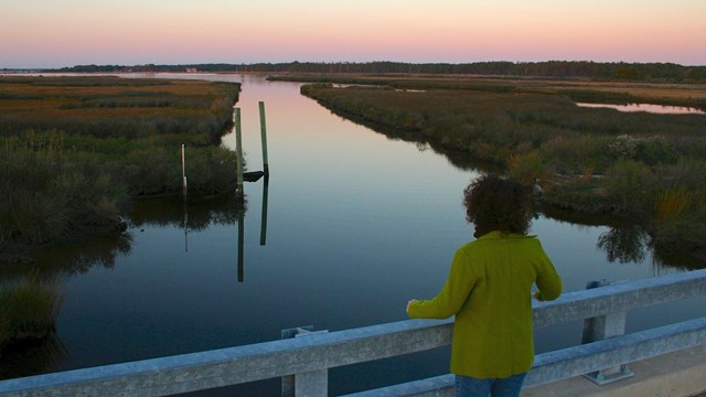 Person overlooking a canal in a marsh area