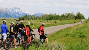 Bicyclists stopped to watch bison blocking the road