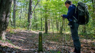 Hiker at a milepost on a trail in the woods