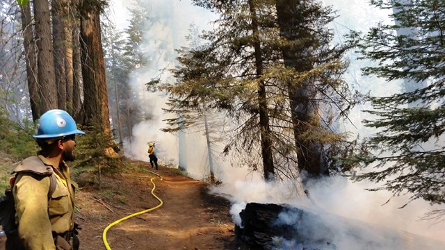 Wildland firefighter near a fire in the forest