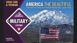 Front side of the Military Lifetime Pass featuring a photo of a US flag in front of a tall mountain