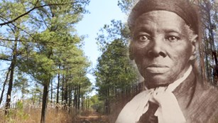 A portrait of Harriet Tubman placed on top of a photo of a wooded landscape
