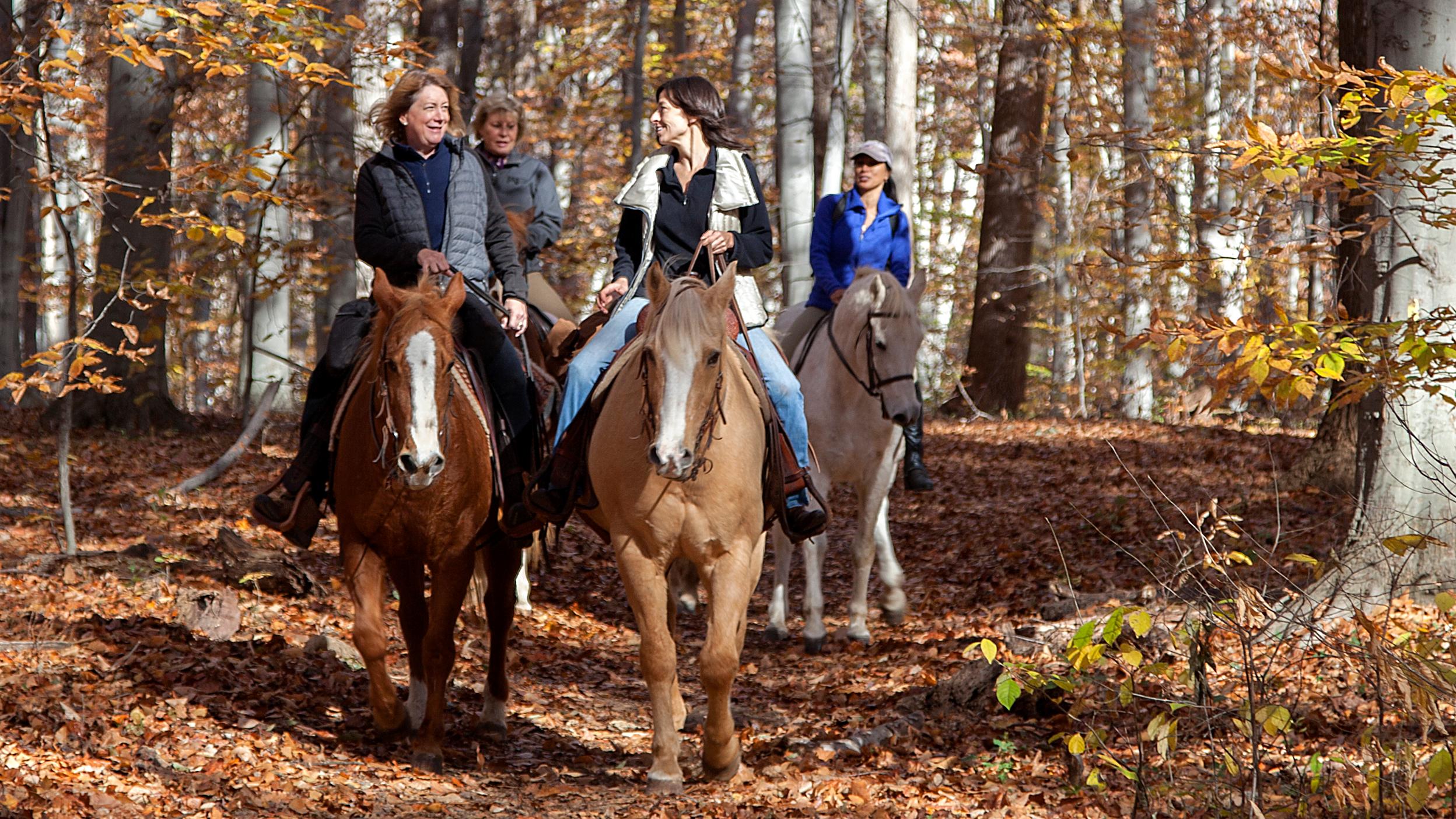 Four women on horses trot down the Potomac Heritage National Scenic Trail in the fall. 