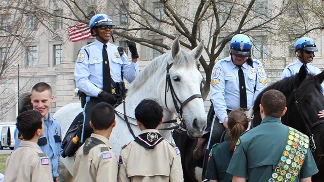 Park Police officers on horses interacting with boy scouts