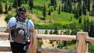 Visitor in a facemask by a fence looking at a field with trees