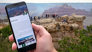 The NPS App open on a smart phone with an overlook in the distance