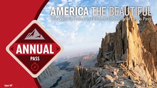 Image of an annual pass