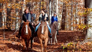 Four women on horses trot down the Potomac Heritage National Scenic Trail in the fall. Trees have or