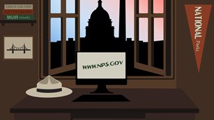 Illustration of a computer surrounded by national park objects and the US Capitol out the window